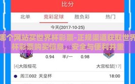 哪个网站买世界杯彩票-正规渠道获取世界杯彩票购买信息，安全与便利并重
