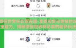 微信世界杯彩票在哪-享受观赏与竞技的双重魅力，揭秘微信世界杯彩票的精彩玩法