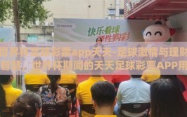 世界杯足球彩票app天天-足球激情与理财智慧，世界杯期间的天天足球彩票APP用户指南