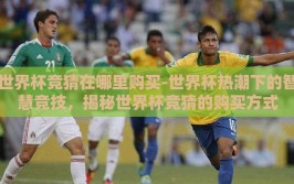 世界杯竞猜在哪里购买-世界杯热潮下的智慧竞技，揭秘世界杯竞猜的购买方式
