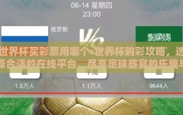 世界杯买彩票用哪个-世界杯购彩攻略，选择合适的在线平台，尽享足球盛宴的乐趣与期待