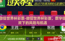 微信世界杯彩票-微信世界杯彩票，数字狂欢下的风险与机遇