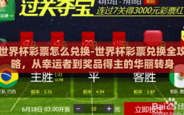 世界杯彩票怎么兑换-世界杯彩票兑换全攻略，从幸运者到奖品得主的华丽转身