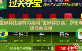 世界杯比赛有彩票吗-世界杯彩票，梦想与现实的交织