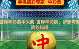 世界杯彩票中大奖-世界杯彩票，梦想与奇迹的碰撞