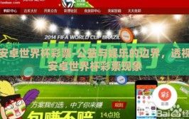 安卓世界杯彩票-公益与娱乐的边界，透视安卓世界杯彩票现象