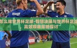 怎么赌世界杯足球-智慧决策与世界杯足球，高效观赛策略探讨
