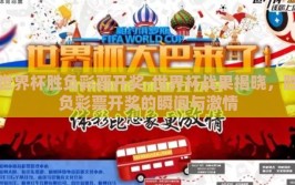 世界杯胜负彩票开奖-世界杯战果揭晓，胜负彩票开奖的瞬间与激情