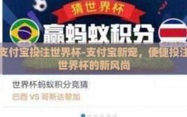 支付宝投注世界杯-支付宝新宠，便捷投注世界杯的新风尚