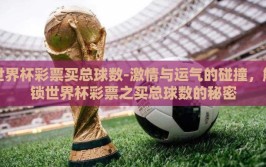 世界杯彩票买总球数-激情与运气的碰撞，解锁世界杯彩票之买总球数的秘密