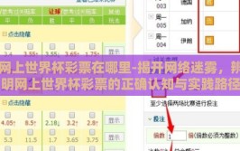 网上世界杯彩票在哪里-揭开网络迷雾，辨明网上世界杯彩票的正确认知与实践路径