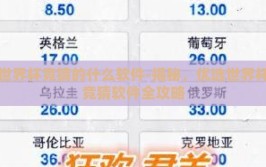 世界杯竞猜的什么软件-揭秘，优选世界杯竞猜软件全攻略