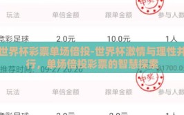 世界杯彩票单场倍投-世界杯激情与理性并行，单场倍投彩票的智慧探索
