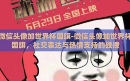 微信头像加世界杯国旗-微信头像加世界杯国旗，社交表达与热情支持的碰撞