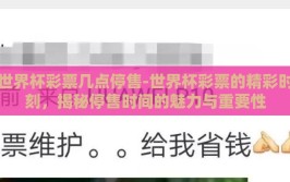 世界杯彩票几点停售-世界杯彩票的精彩时刻，揭秘停售时间的魅力与重要性