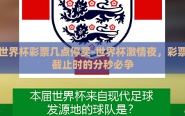 世界杯彩票几点停买-世界杯激情夜，彩票截止时的分秒必争