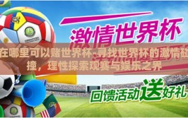 在哪里可以赌世界杯-寻找世界杯的激情碰撞，理性探索观赛与娱乐之界