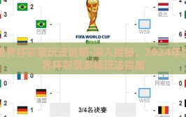世界杯彩票玩法说明-深入揭秘，2024年世界杯彩票多样玩法指南