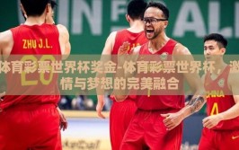 体育彩票世界杯奖金-体育彩票世界杯，激情与梦想的完美融合