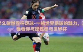 怎么赌世界杯足球-一睹世界足球的魅力，正确看待与理性参与世界杯