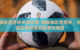 体彩世界杯中奖彩票-揭秘体彩世界杯，中奖彩票的背后故事与体验