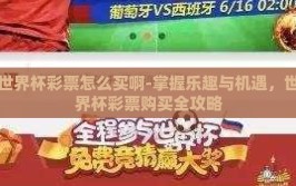世界杯彩票怎么买啊-掌握乐趣与机遇，世界杯彩票购买全攻略