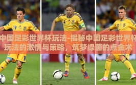 中国足彩世界杯玩法-揭秘中国足彩世界杯玩法的激情与策略，筑梦绿茵的点金术