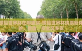 微信世界杯在哪里买-微信世界杯购票新体验，便捷、安全又多彩