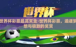 世界杯彩票最高奖金-世界杯彩票，追逐梦想与极致的奖赏