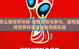 怎么赌世界杯球-合理欣赏与参与，理性看待世界杯足球赛的竞猜乐趣