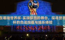 在哪赌世界杯-实现梦想的舞台，探寻世界杯的合法观赛与娱乐体验