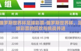 俄罗斯世界杯足球彩票-俄罗斯世界杯，足球彩票的狂欢与挑战并进