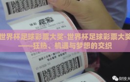世界杯足球彩票大奖-世界杯足球彩票大奖——狂热、机遇与梦想的交织