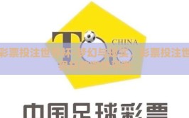 彩票投注世界杯-梦幻与现实，彩票投注世界杯的微妙平衡