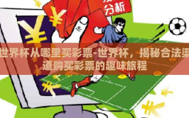 世界杯从哪里买彩票-世界杯，揭秘合法渠道购买彩票的趣味旅程