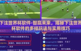 下注世界杯软件-智赢未来，揭秘下注世界杯软件的多样玩法与实用技巧