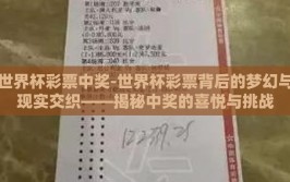 世界杯彩票中奖-世界杯彩票背后的梦幻与现实交织——揭秘中奖的喜悦与挑战