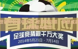 世界杯彩票中大奖-世界杯彩票，梦想成真的奇迹与启示