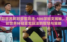 足彩世界杯冠亚军玩法-500字短文揭秘，足彩世界杯冠亚军玩法的智慧与策略
