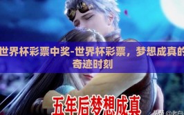 世界杯彩票中奖-世界杯彩票，梦想成真的奇迹时刻