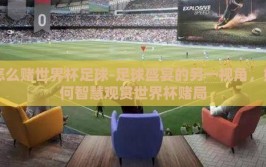 怎么赌世界杯足球-足球盛宴的另一视角，如何智慧观赏世界杯赌局