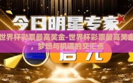 世界杯彩票最高奖金-世界杯彩票最高奖金，梦想与机遇的交汇点