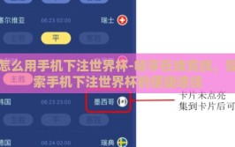 怎么用手机下注世界杯-畅享在线竞技，探索手机下注世界杯的便捷途径