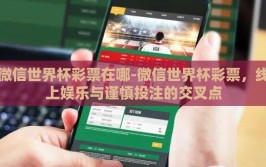 微信世界杯彩票在哪-微信世界杯彩票，线上娱乐与谨慎投注的交叉点