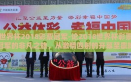 世界杯2018彩票冠军-论2018世界杯彩票冠军的非凡之旅，从激情四射的开幕至震撼人心的决战