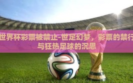 世界杯彩票被禁止-世足幻梦，彩票的禁行与狂热足球的沉思
