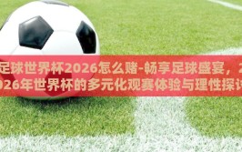 足球世界杯2026怎么赌-畅享足球盛宴，2026年世界杯的多元化观赛体验与理性探讨