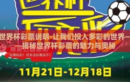 世界杯彩票说明-让我们投入多彩的世界——揭秘世界杯彩票的魅力与奥秘