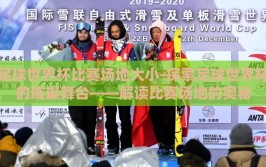足球世界杯比赛场地大小-探索足球世界杯的璀璨舞台——解读比赛场地的奥秘