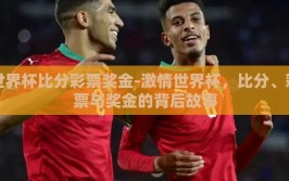 世界杯比分彩票奖金-激情世界杯，比分、彩票与奖金的背后故事